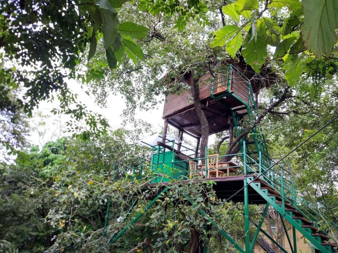 Wildescape Polonnaruwa Villa Exteriör bild