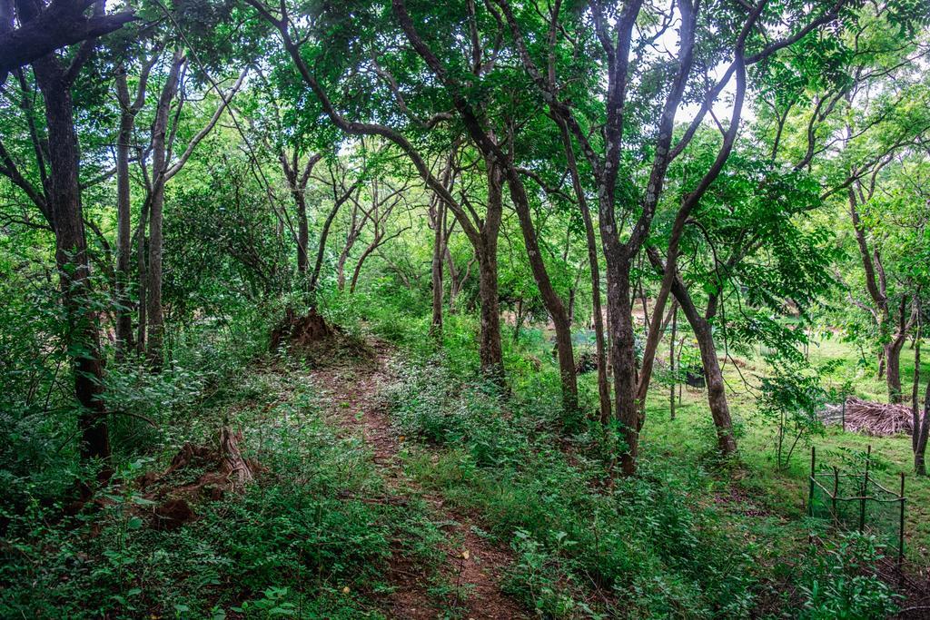 Wildescape Polonnaruwa Villa Exteriör bild