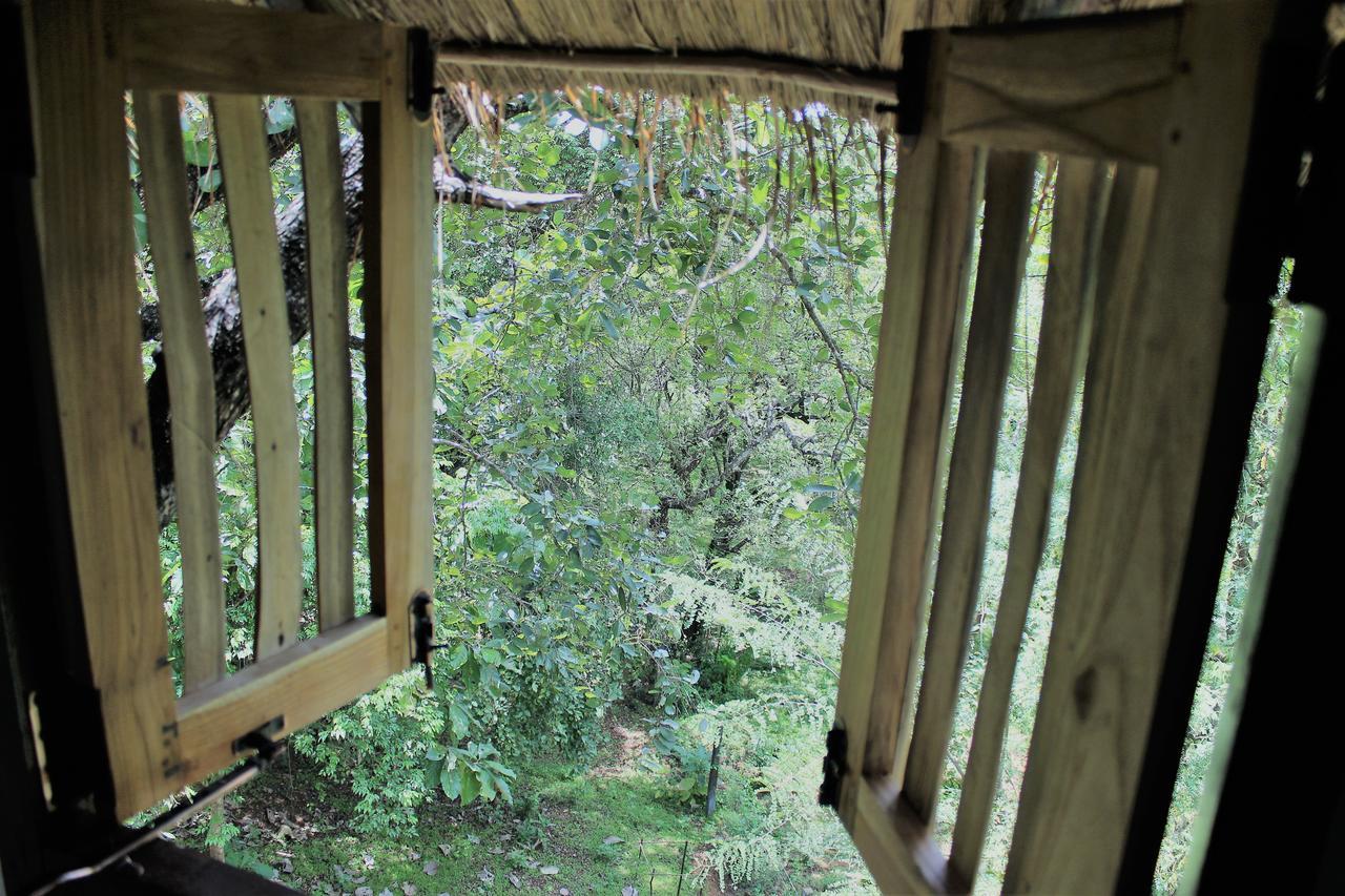 Wildescape Polonnaruwa Villa Exteriör bild