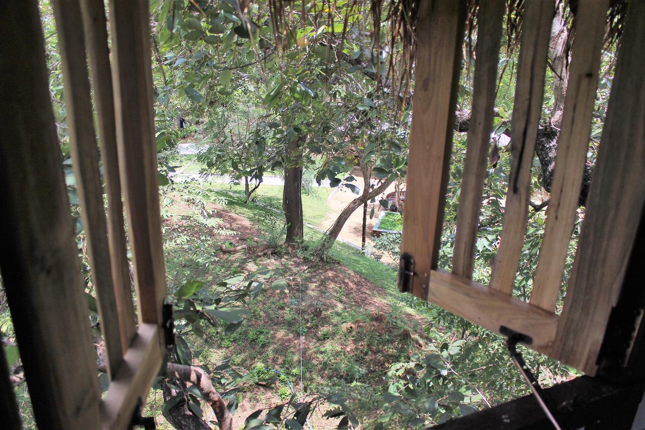Wildescape Polonnaruwa Villa Exteriör bild
